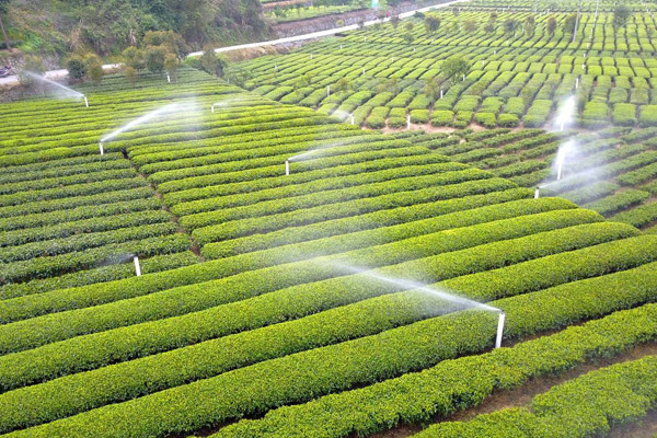 常見的農業灌溉方式及其特點